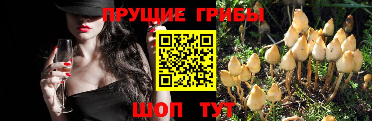 Псилоцибиновые грибы ЛСД  Вход с VPN  Коммунар 